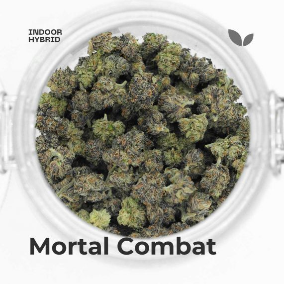 Mortal Combat weed strain phuket delivery