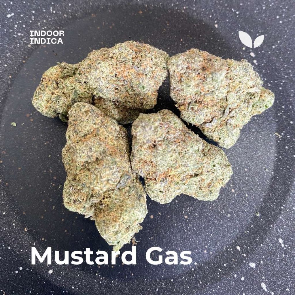 Горчичный газ Mustard Gas