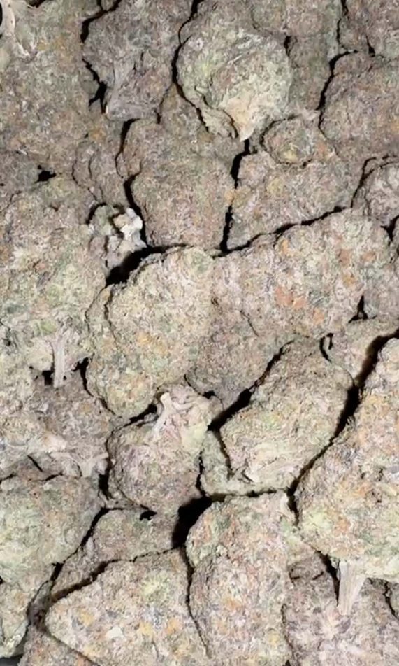 Orange Cake каннабис пхукет Orange Cake cannabis phuket