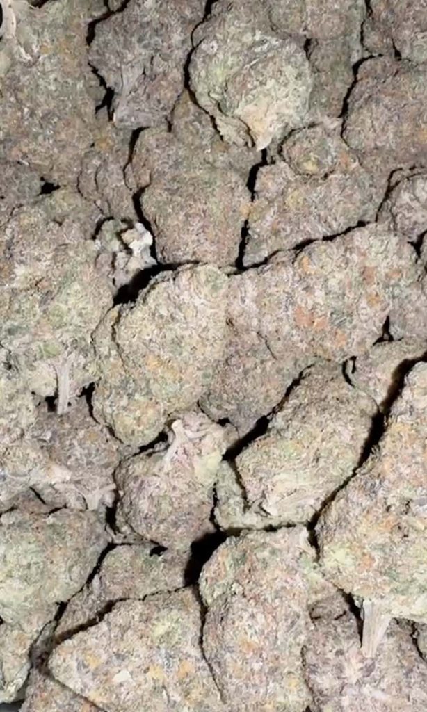 Orange Cake каннабис пхукет Orange Cake cannabis phuket