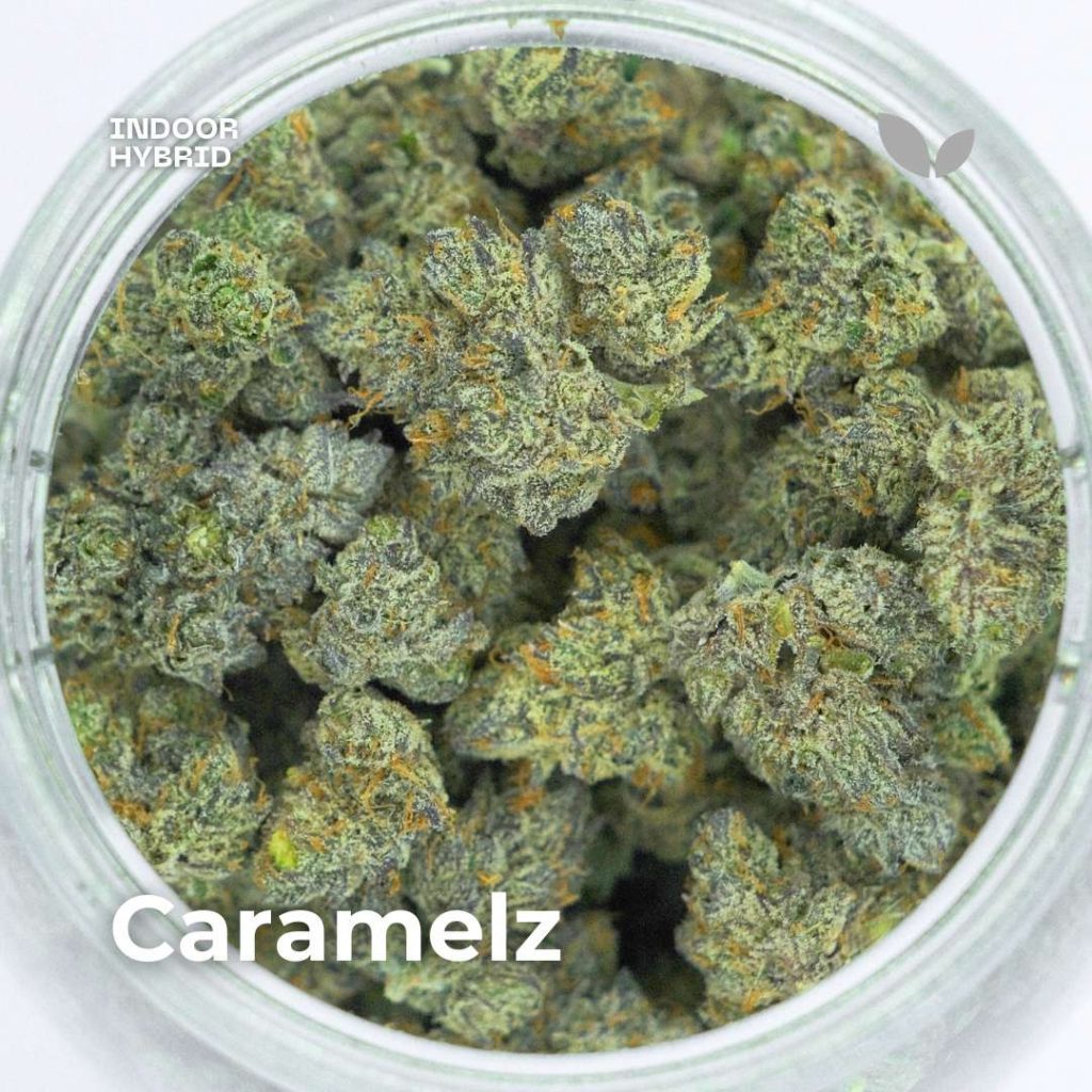 caramelz cannabis strain with delivery in phuket caramelz cannabis strain with delivery in phuket