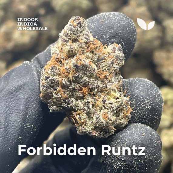 forbidden runtz cannabis in bulk 1 kilogram