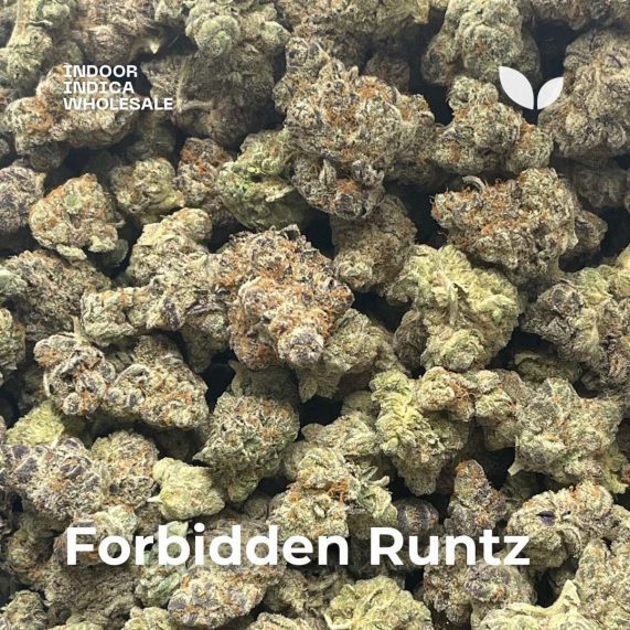 forbidden runtz weed strain high quality wholesale thailand