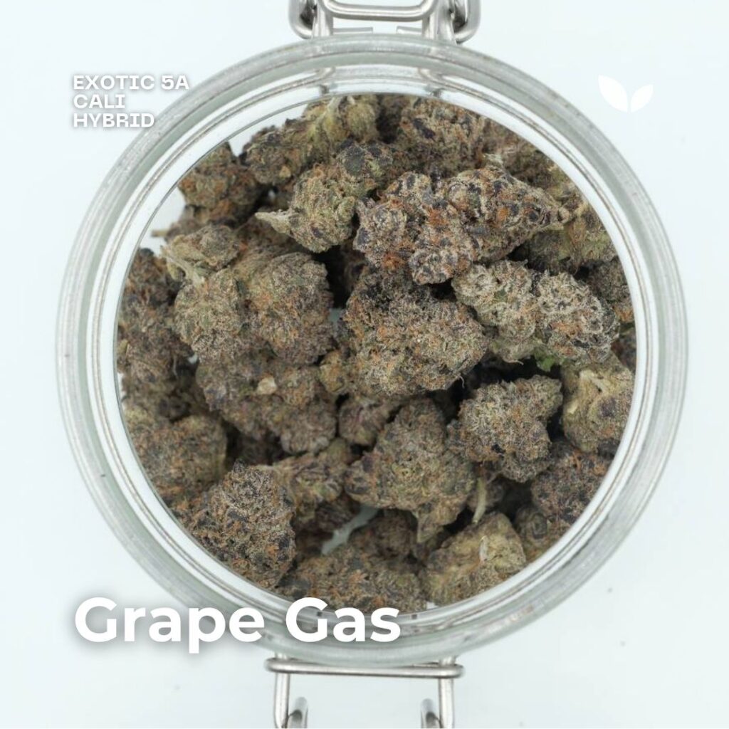 grape gas phuket