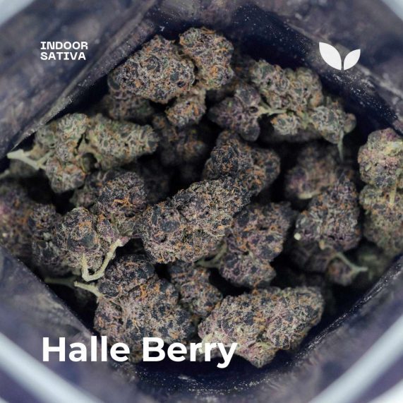 halle berry cannabis phuket organic