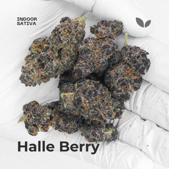 halle berry weed strain phuket cannabis delivery