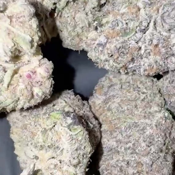 miami strain weed delivery phuket