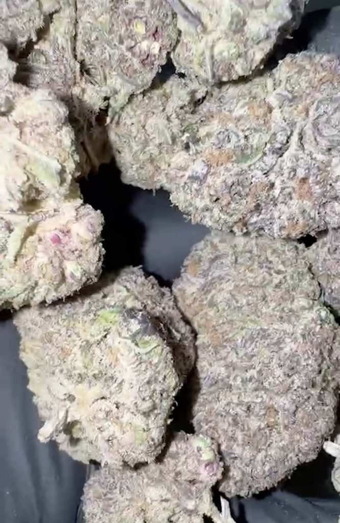 miami strain weed delivery phuket