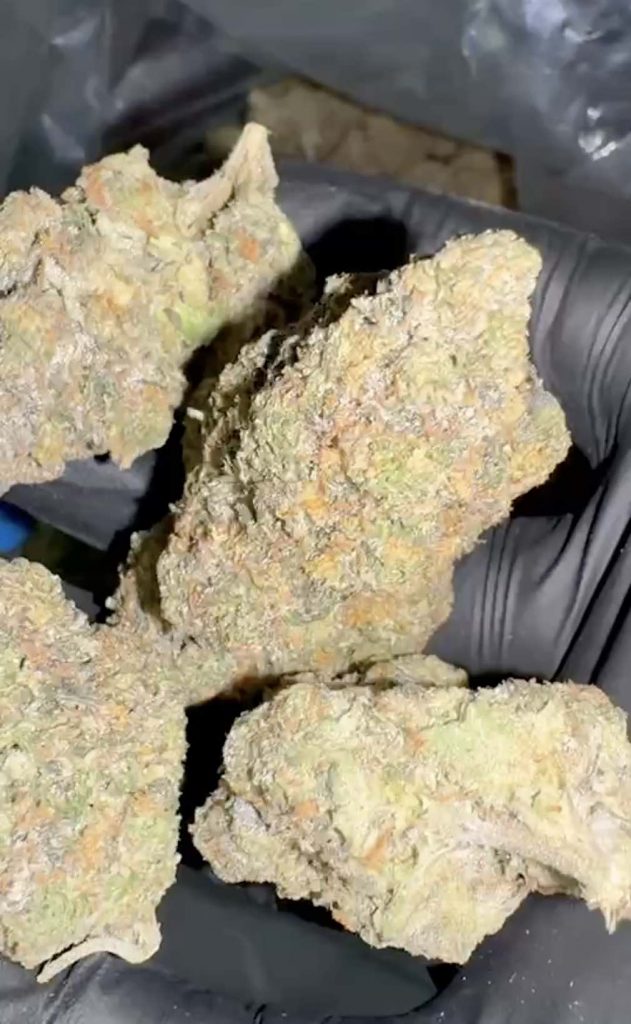 штамм сорняков апельсинового пирога orange cake weed strain