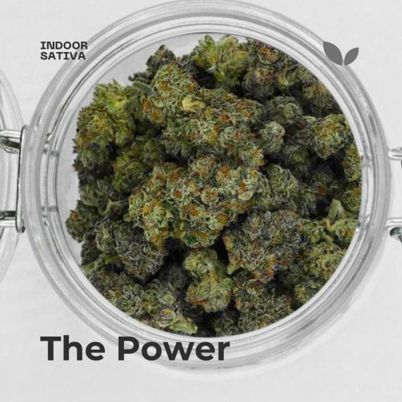 the power weed delivery phuket