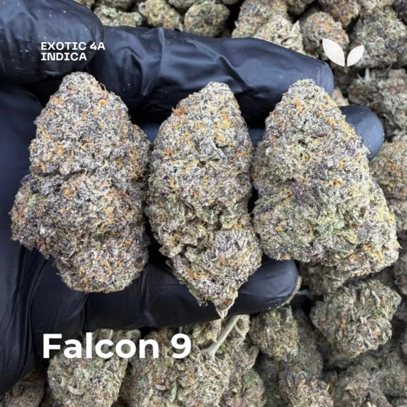 Falcon 9 weed strain delivery phuket indica exotic 4a 10g