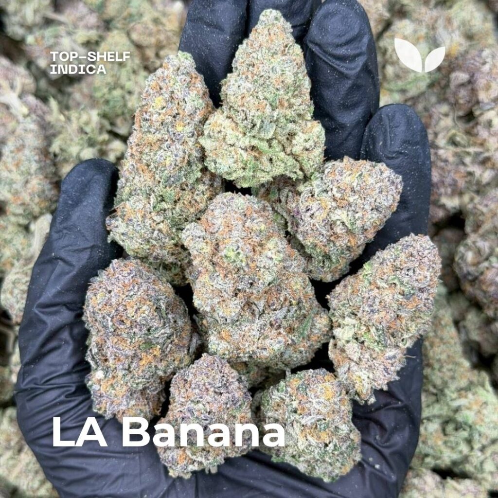 LA Banana strain phuket weed