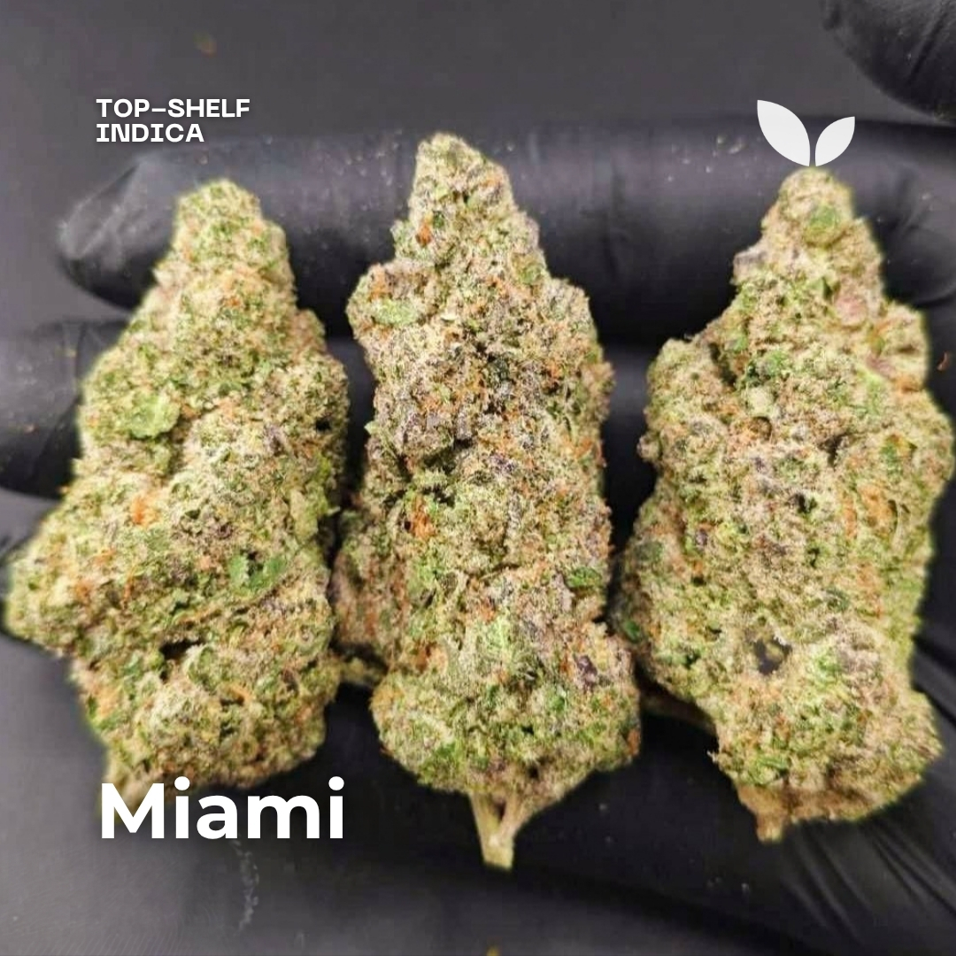 Miami weed strain phuket Miami weed strain phuket