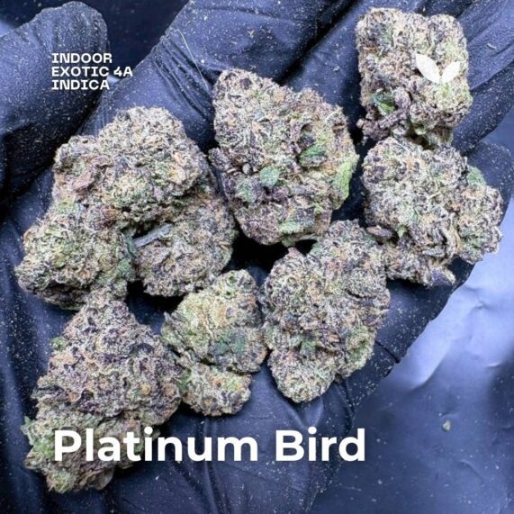 Platinum Bird cannabis delivery phuket