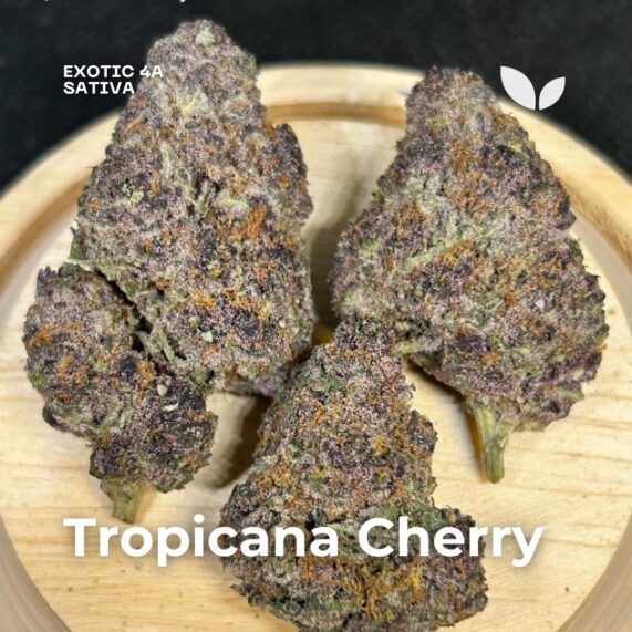 Tropicana Cherry weed phuket delivery