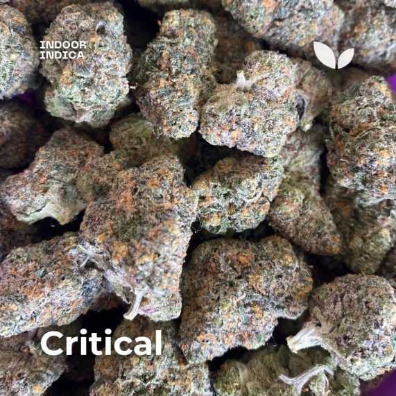 critical mix