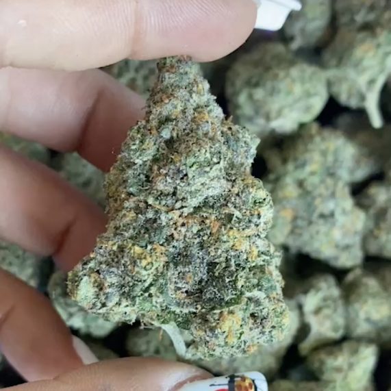 critiical weed strain phuket delivery