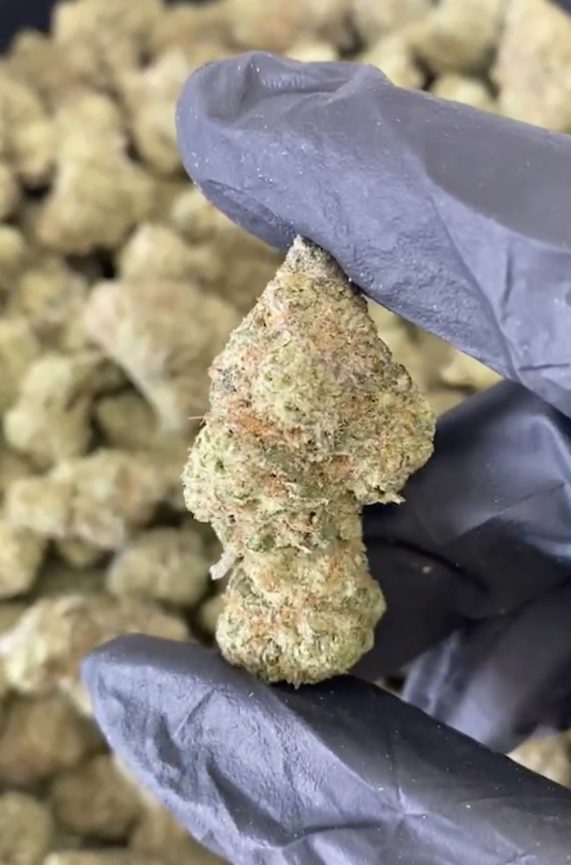 rarinbow 1kg wholesale weed