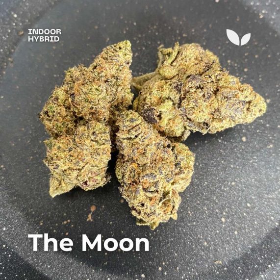 the moon cannabis strain in phuket with delivery