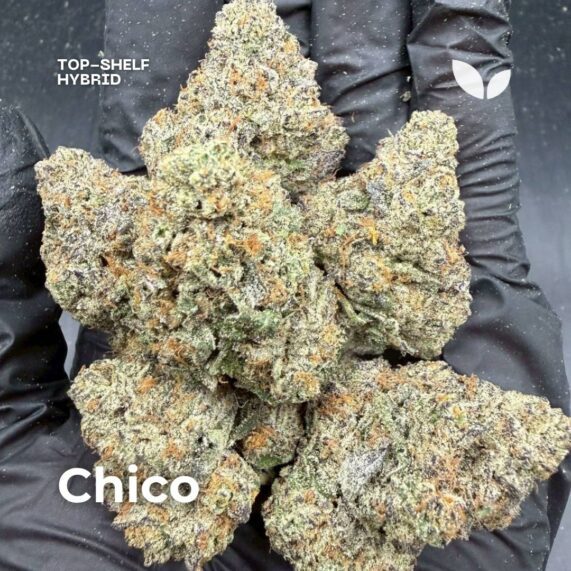 Chico weed strain delivery phuket