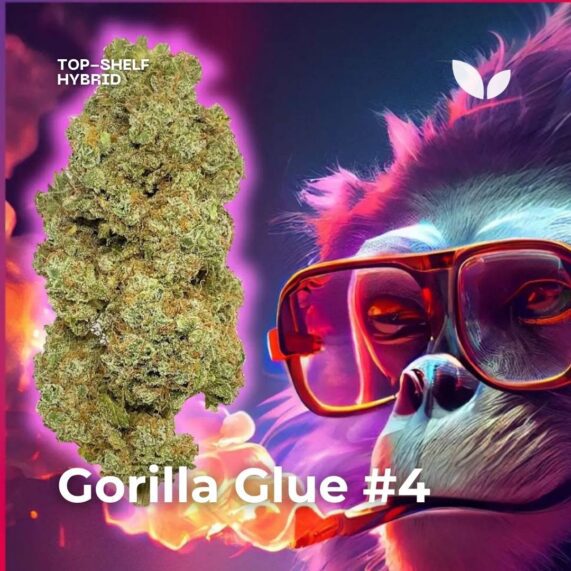 gorilla glue 4 gg4 cannabis delivery phuket