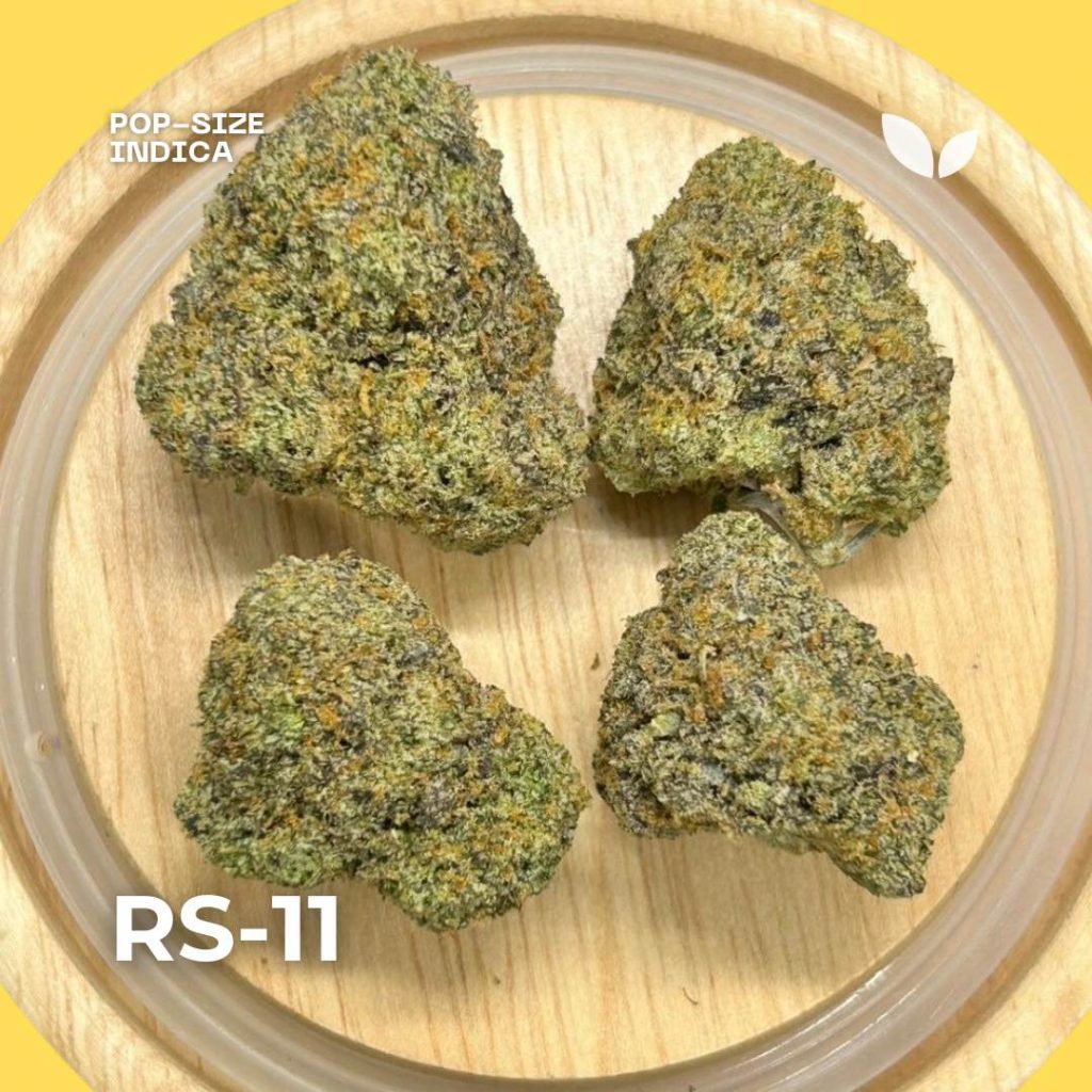 RS-11 strain overview RS-11 strain overview