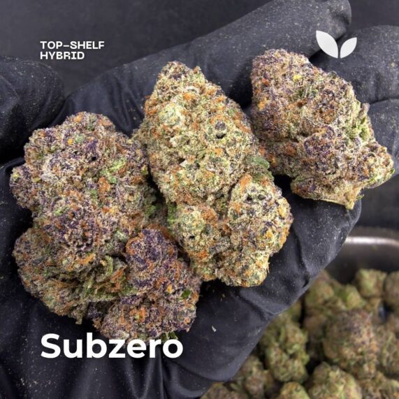 Subzero hybrid strain weed phuket