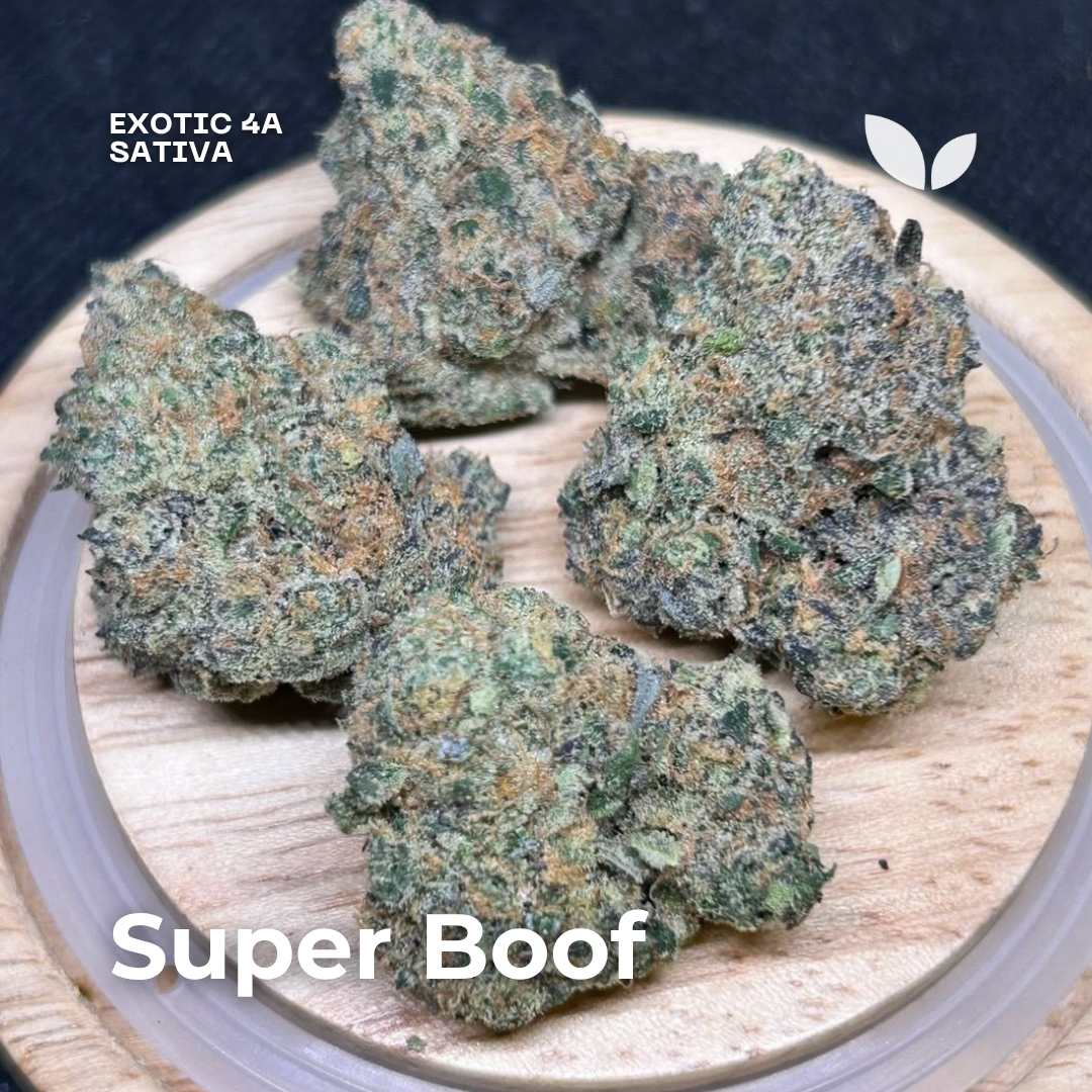 Super Boof sativa strain phuket Super Boof sativa strain phuket
