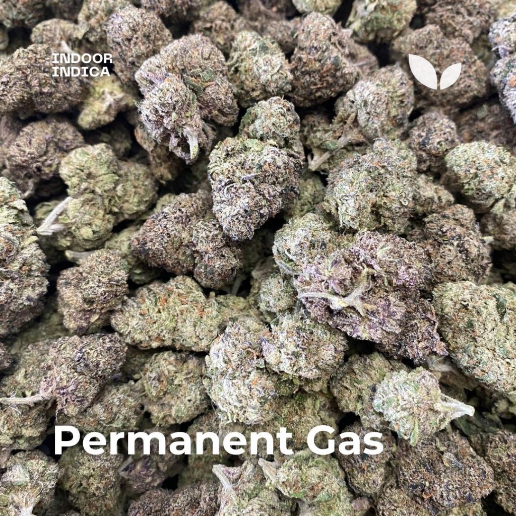 permanent gaas phuket cannabis