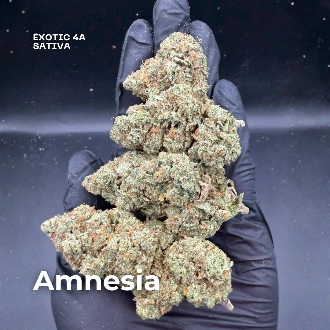 Amnesia cannabis delivery phuket
