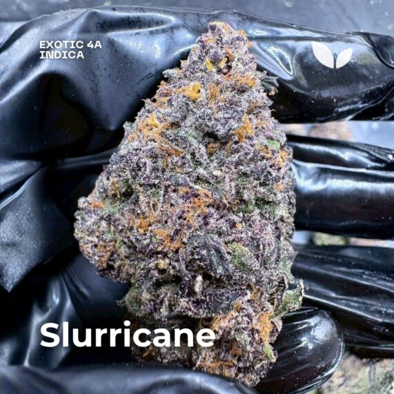 Slurricane indica weed delivery phuket exotic 4a