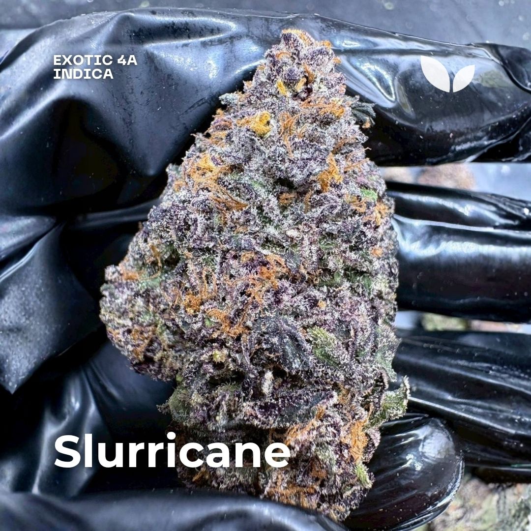 Slurricane indica weed delivery phuket Slurricane indica weed delivery phuket
