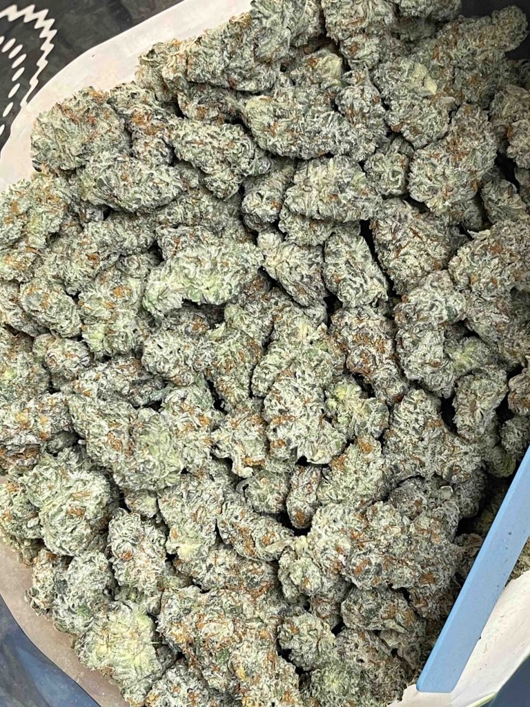 dipz 1 kilogram pack dipz 1 kilogram pack