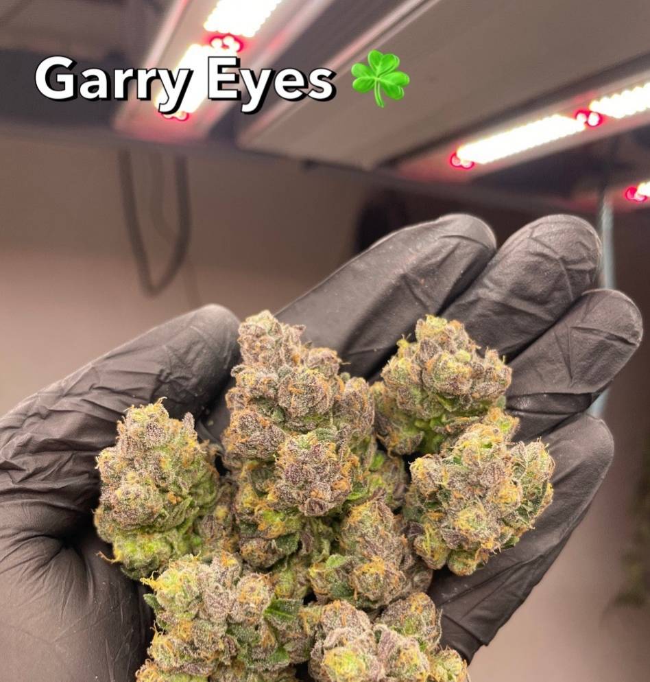gary eyes weed flower delivery phuket