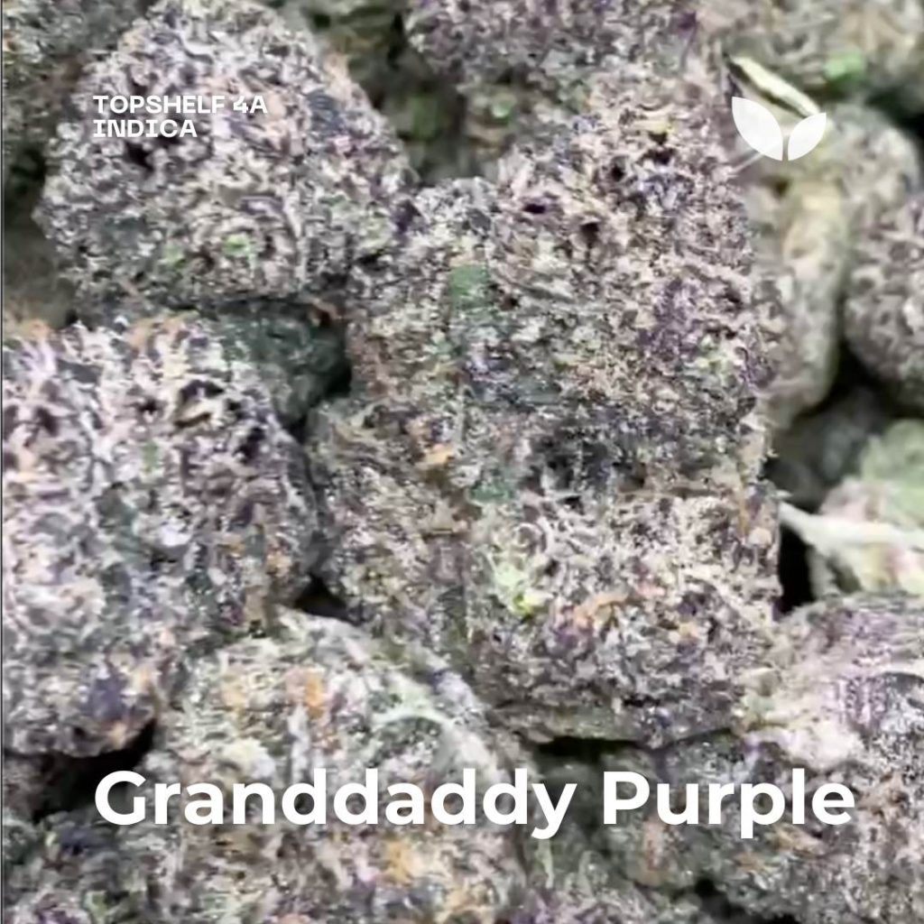 granddaddy purple 10g 5 free weed delivery