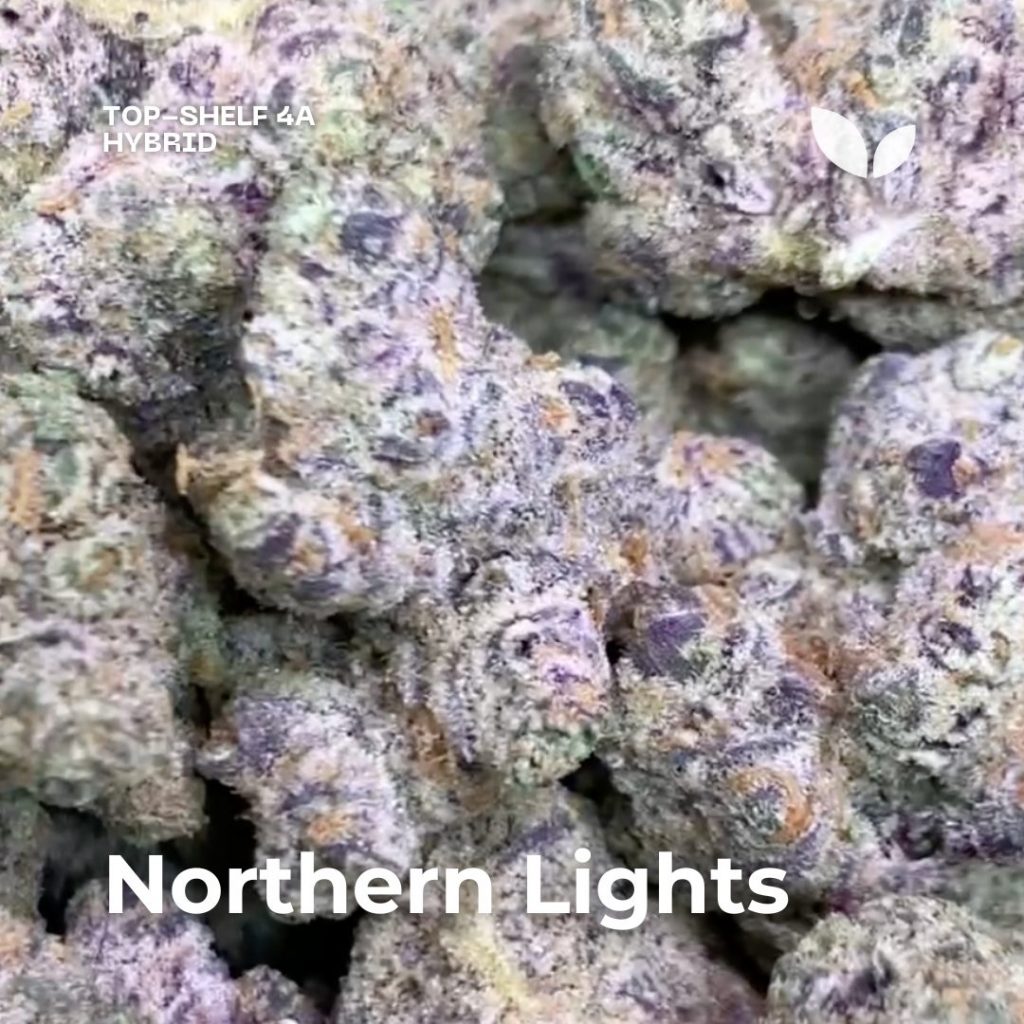 northern lights cannabis phuket