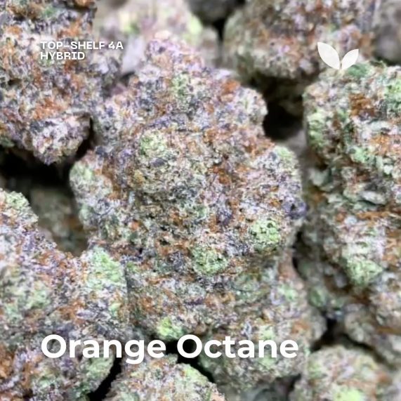 orange octane cannabis phuket delivery 1 hour