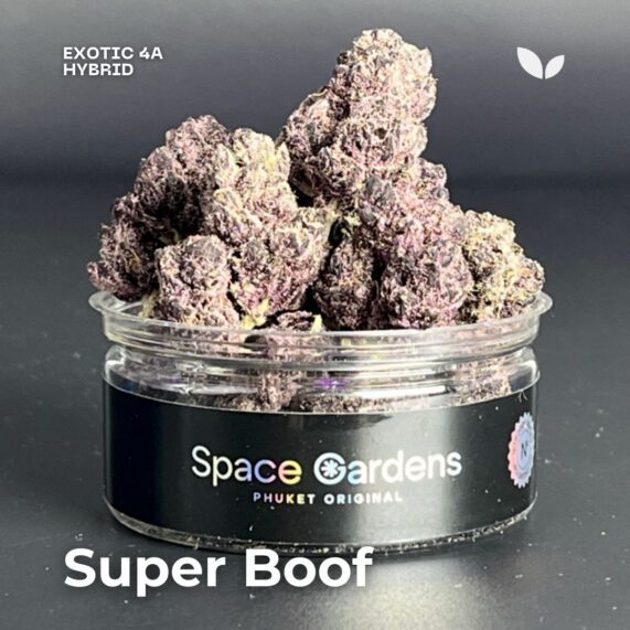 super boof 3.5g phuket weed fast delivery hybrid