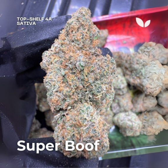 super boof xxl size buds weed phuket