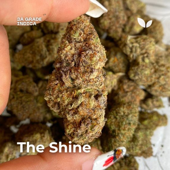 the shine strain cannabis delivery