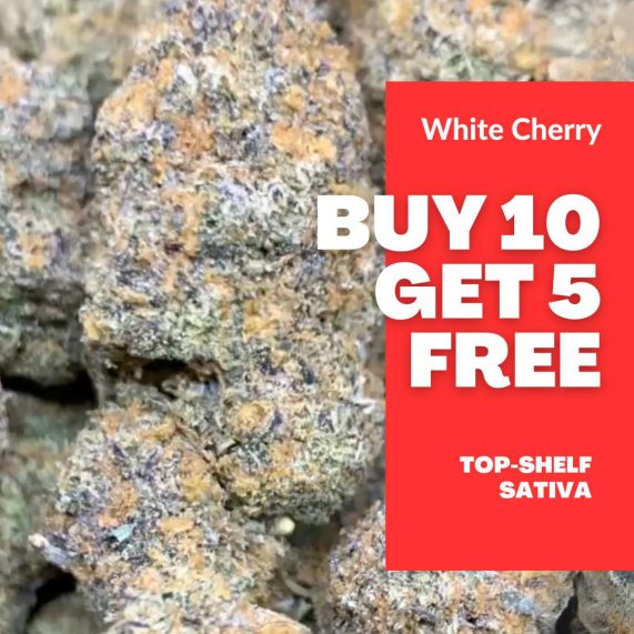 white cherry buy 10 get 5 free deal phuket