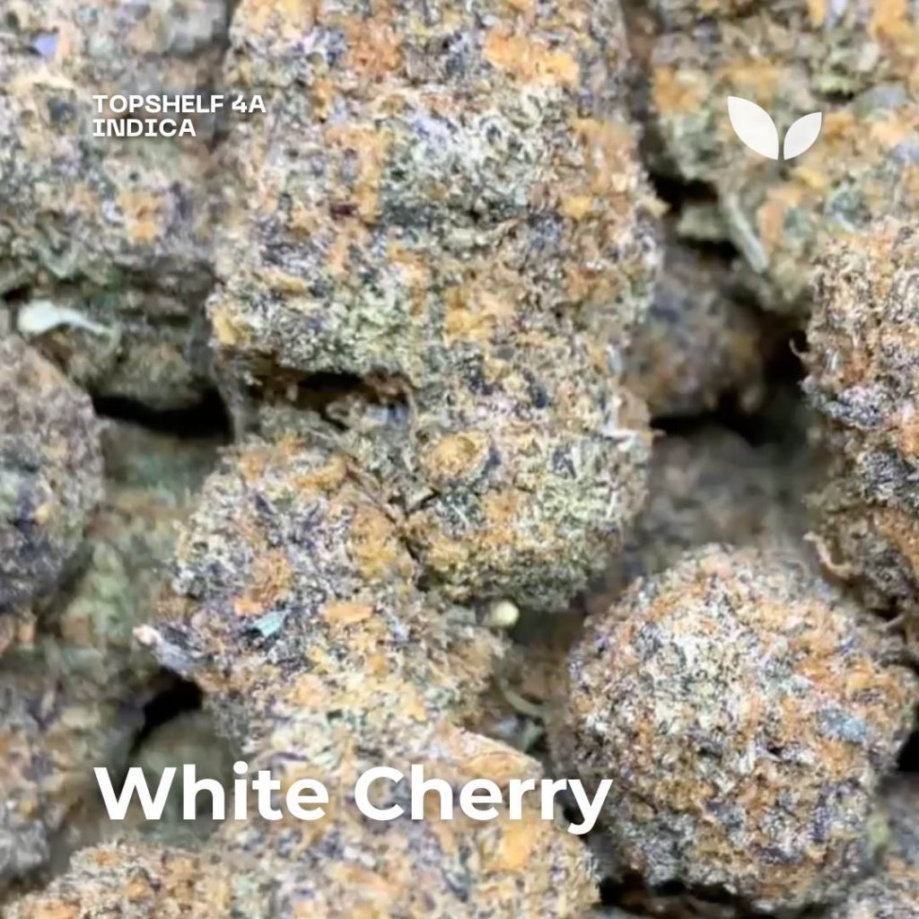 white cherry weed delivery white cherry weed delivery