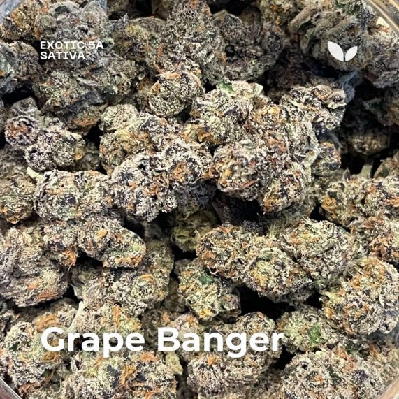 Grape Banger sativa exotic 5A phuket cannabis delivery