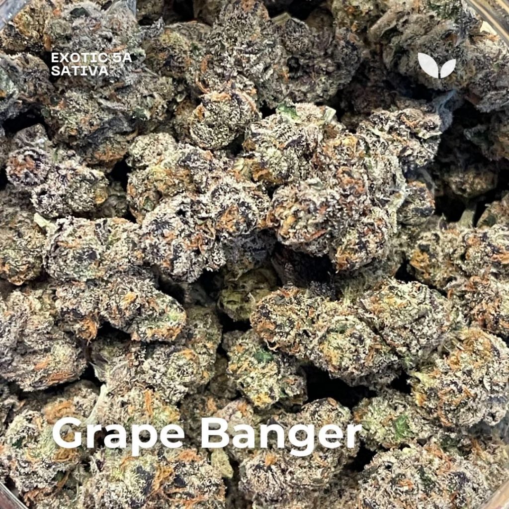 Grape Banger sativa delivery