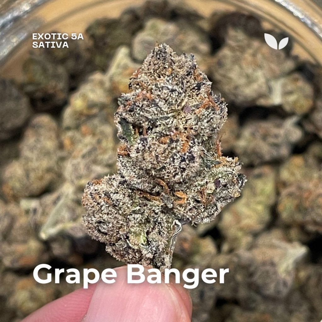 Grape Banger Exotic 5A