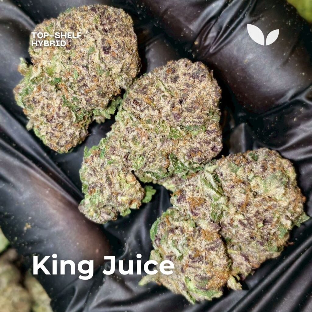 King Juice hybrid strain weed phuket King Juice hybrid strain weed phuket