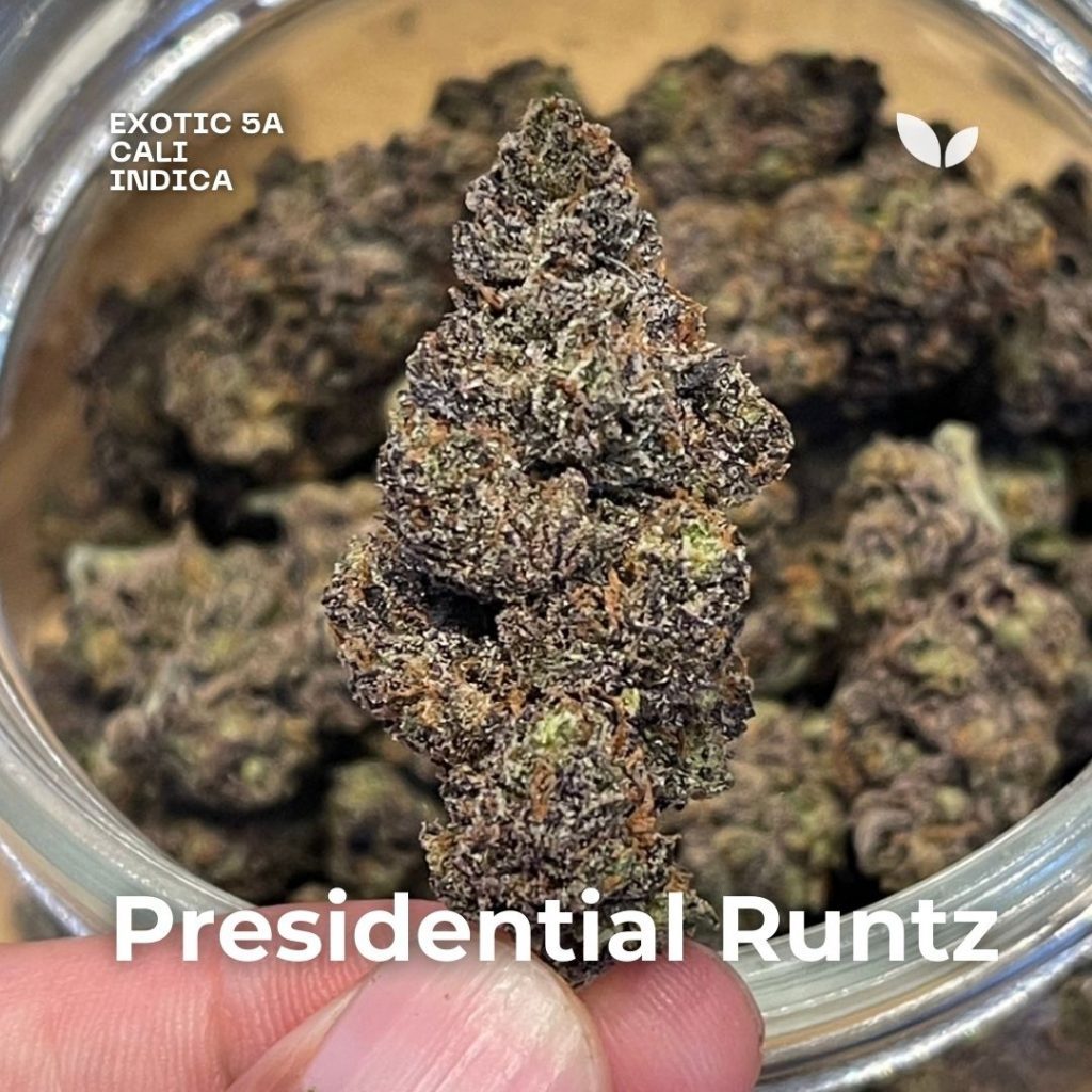 Presidential Runtz Presidential Runtz