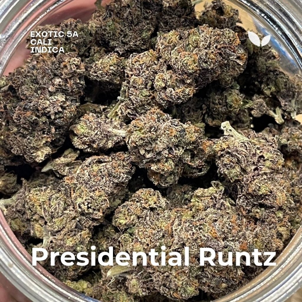 Presidential Runtz exotic cannabis Presidential Runtz exotic cannabis