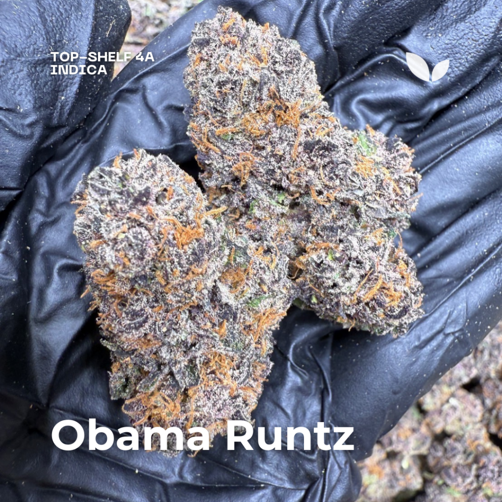 obama runtz strain phuket weed obama runtz strain phuket weed