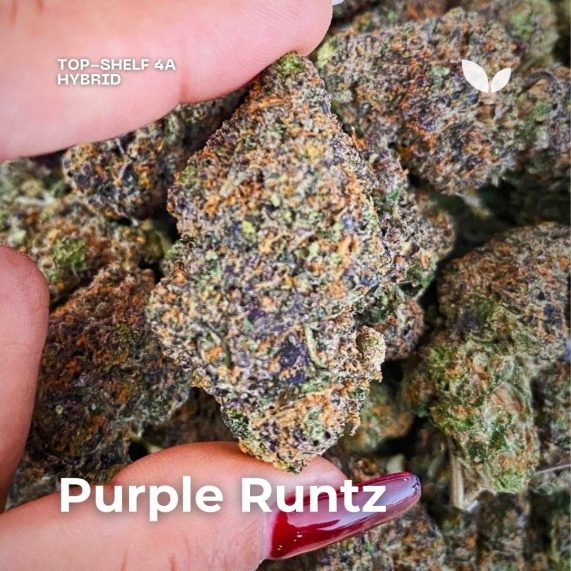 purple runtz strain cannabis delivery phuket